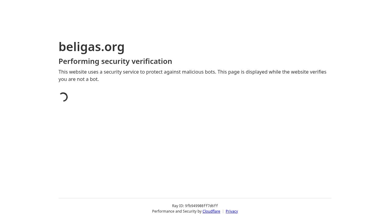 beligas.org logo